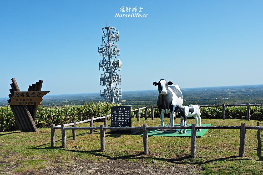 北海道｜開陽台展望台．一覽360度的平原美景 - nurseilife.cc