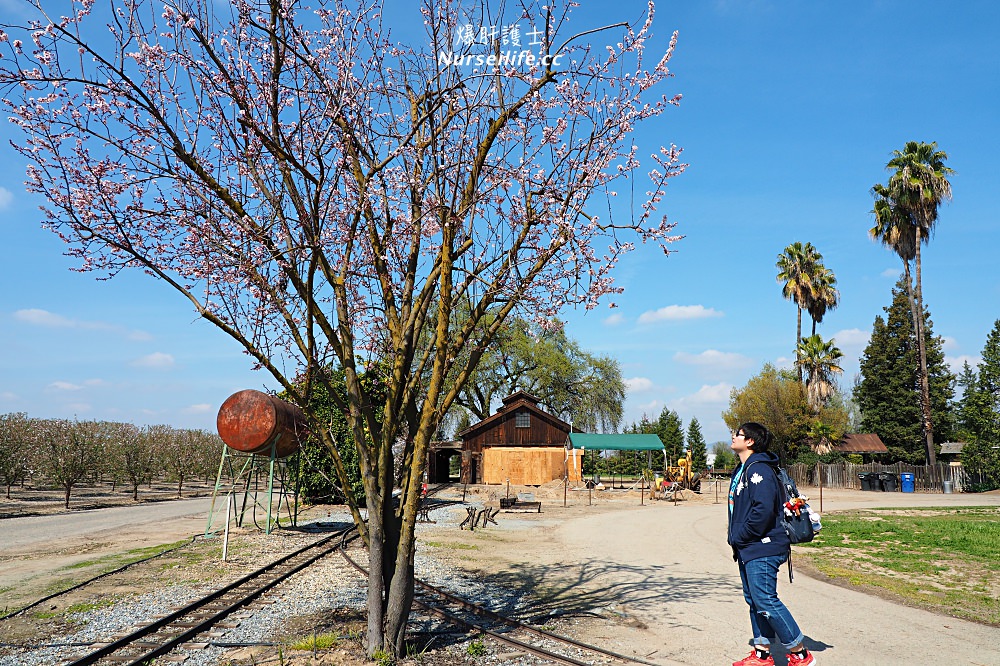 美國、加州｜弗雷斯諾Fresno County Blossom Trail．加州版三生三世十里桃花 - nurseilife.cc