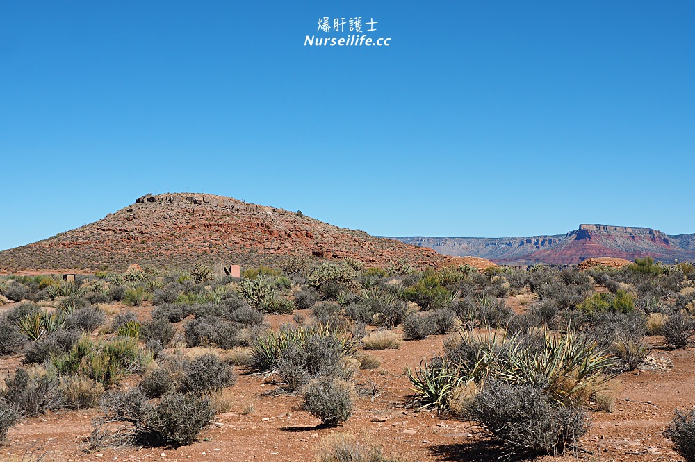 美國、亞利桑那州｜科羅拉多大峽谷 Grand Canyon．美國必遊的人氣第一國家公園 - nurseilife.cc