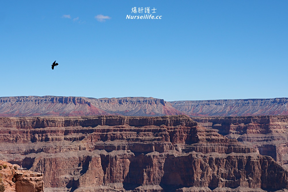 美國、亞利桑那州｜科羅拉多大峽谷 Grand Canyon．美國必遊的人氣第一國家公園 - nurseilife.cc