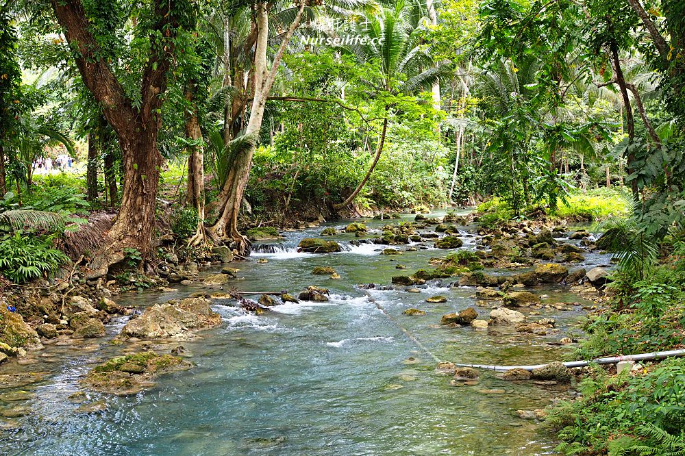 宿霧的避暑勝地嘉華山瀑布 KAWASAN Falls - nurseilife.cc