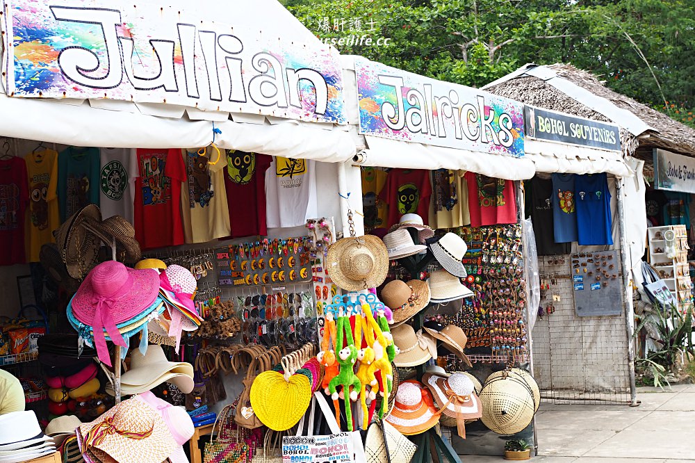 薄荷島一日遊：眼鏡猴、巧克力山、高空挫賽腳踏車 Bohol Chocolate Hills Adventure Park - nurseilife.cc