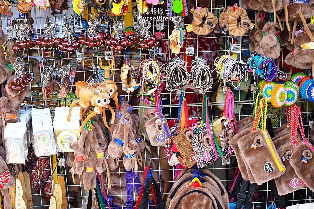 薄荷島一日遊：眼鏡猴、巧克力山、高空挫賽腳踏車 Bohol Chocolate Hills Adventure Park - nurseilife.cc