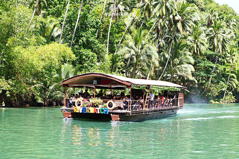 薄荷島一日遊：眼鏡猴、巧克力山、高空挫賽腳踏車 Bohol Chocolate Hills Adventure Park - nurseilife.cc