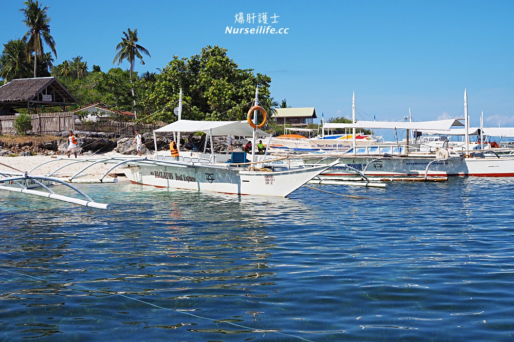 宿霧跳島：帕米拉坎島、巴里卡薩島、處女島一日遊 Bohol Island Hopping: Pamilacan, Balicasag, and Virgin Island. - nurseilife.cc