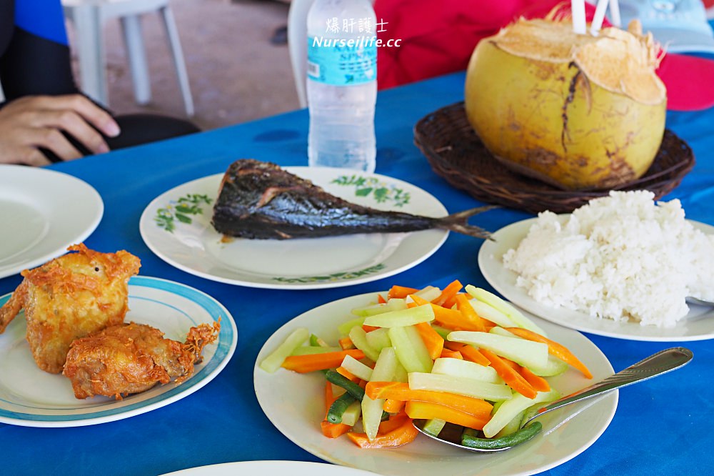 宿霧跳島：帕米拉坎島、巴里卡薩島、處女島一日遊 Bohol Island Hopping: Pamilacan, Balicasag, and Virgin Island. - nurseilife.cc