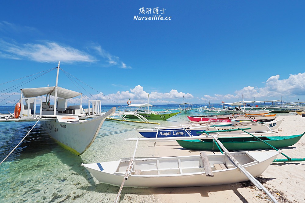 宿霧跳島：帕米拉坎島、巴里卡薩島、處女島一日遊 Bohol Island Hopping: Pamilacan, Balicasag, and Virgin Island. - nurseilife.cc