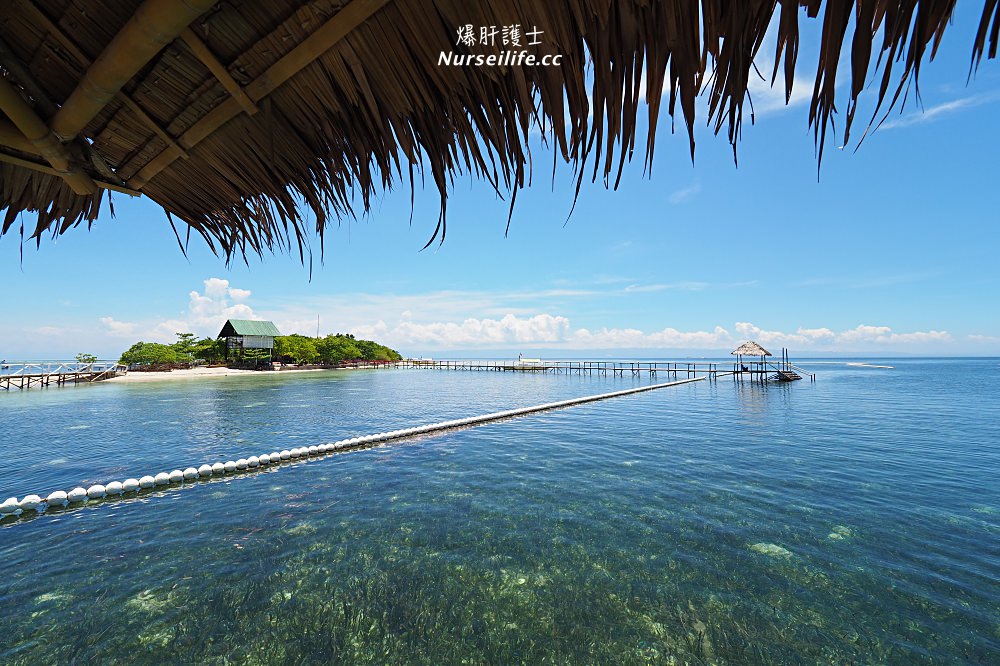 宿霧跳島：帕米拉坎島、巴里卡薩島、處女島一日遊 Bohol Island Hopping: Pamilacan, Balicasag, and Virgin Island. - nurseilife.cc