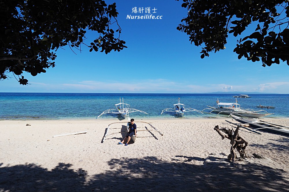 宿霧跳島：帕米拉坎島、巴里卡薩島、處女島一日遊 Bohol Island Hopping: Pamilacan, Balicasag, and Virgin Island. - nurseilife.cc