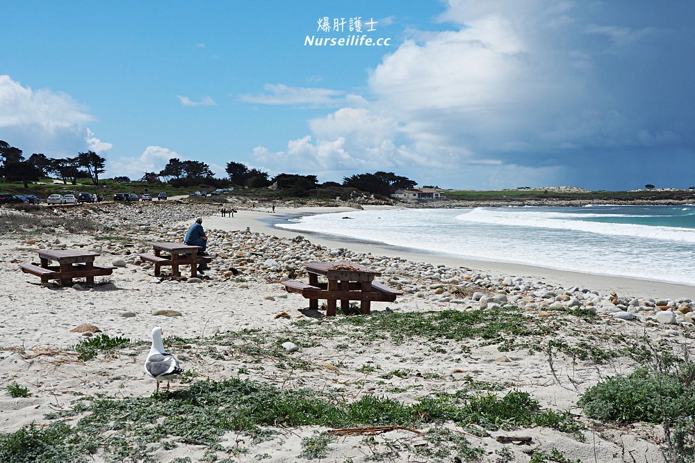 北加州最美的私家海岸線 17-Mile Drive (Monterey) - nurseilife.cc