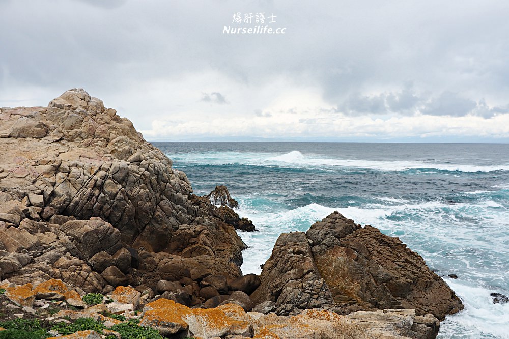 北加州最美的私家海岸線 17-Mile Drive (Monterey) - nurseilife.cc