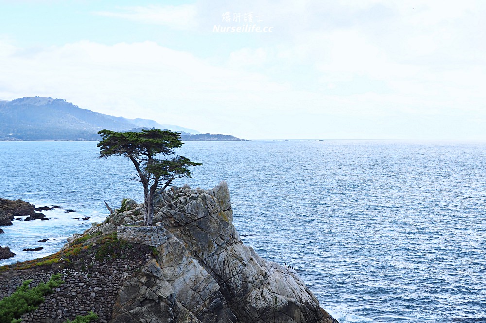 北加州最美的私家海岸線 17-Mile Drive (Monterey) - nurseilife.cc