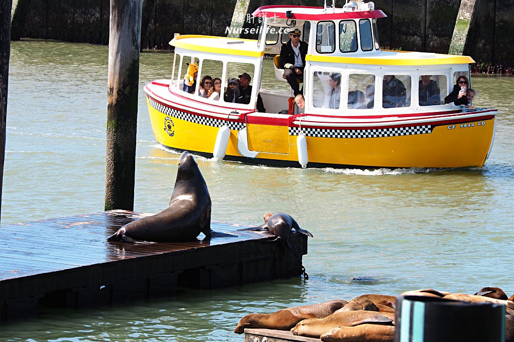 舊金山漁人碼頭 Pier 39有吃有玩有還可看海獅 - nurseilife.cc
