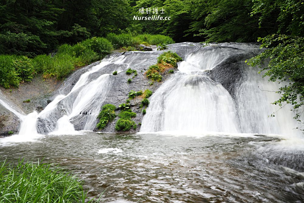 台灣虎航直飛花卷．快來去岩手吃海鮮看世界遺產 - nurseilife.cc