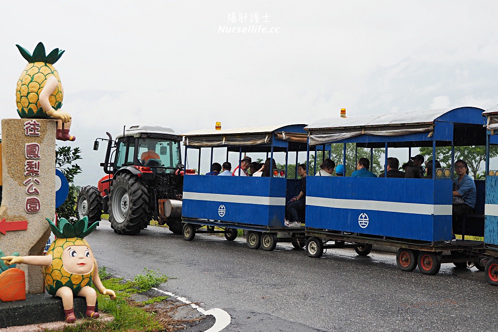 台灣深度旅遊｜瑞穗樂活鄉村泡湯之旅 - nurseilife.cc