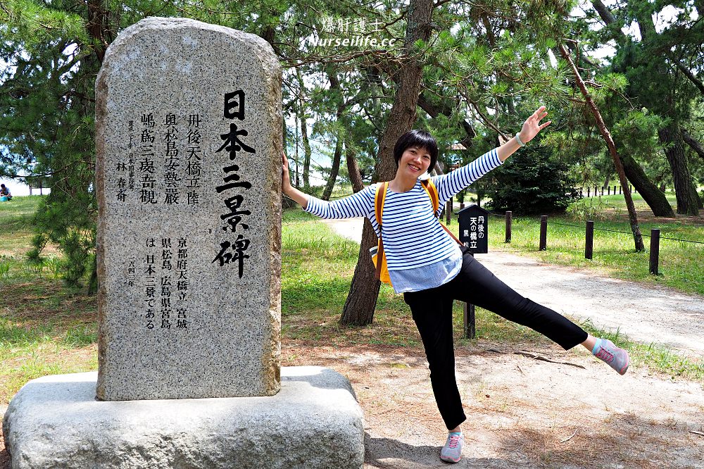 大阪京都包車之旅｜輕鬆暢遊天橋立、美山、伊根舟屋．超適合老弱婦孺的旅行方式 - nurseilife.cc