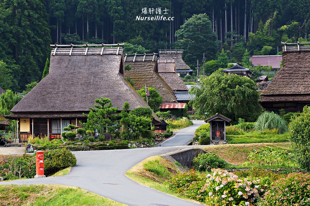 大阪京都包車之旅｜輕鬆暢遊天橋立、美山、伊根舟屋．超適合老弱婦孺的旅行方式 - nurseilife.cc