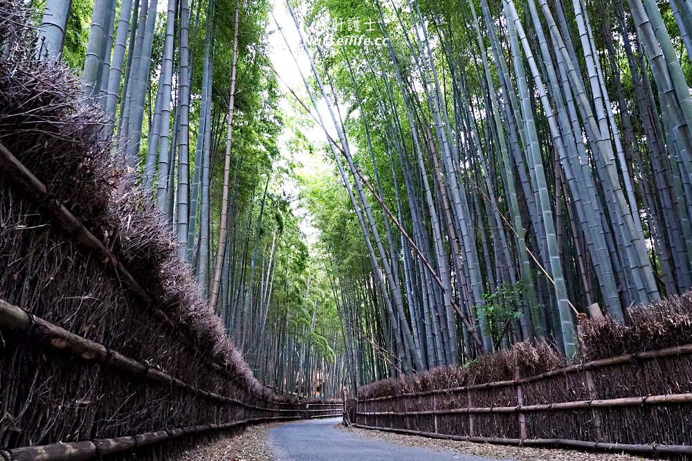 京都深度之旅–竹之京都：長岡京市、向日市、大山崎町 - nurseilife.cc