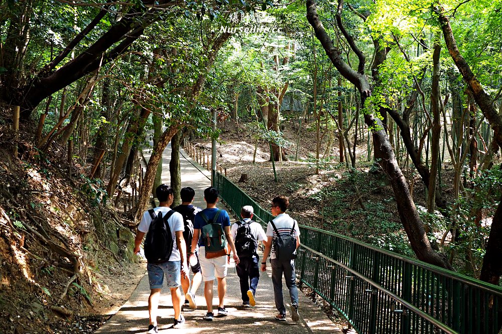 京都深度之旅–茶之京都：到日本茶的故鄉來段身心療癒之旅 - nurseilife.cc