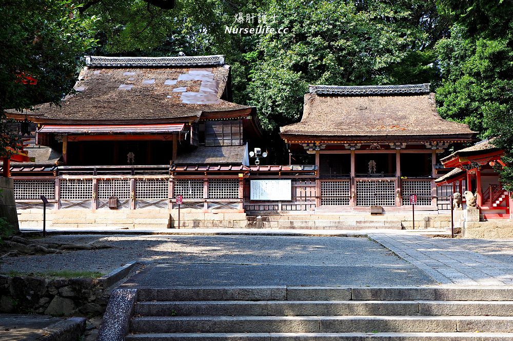 京都深度之旅–茶之京都：到日本茶的故鄉來段身心療癒之旅 - nurseilife.cc