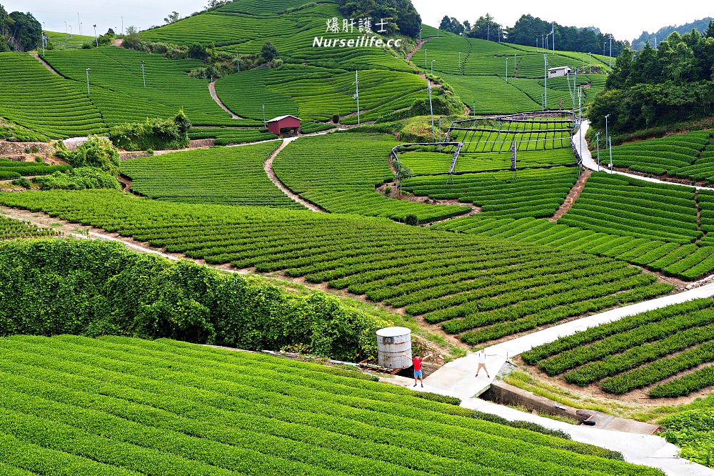 京都深度之旅–茶之京都：到日本茶的故鄉來段身心療癒之旅 - nurseilife.cc