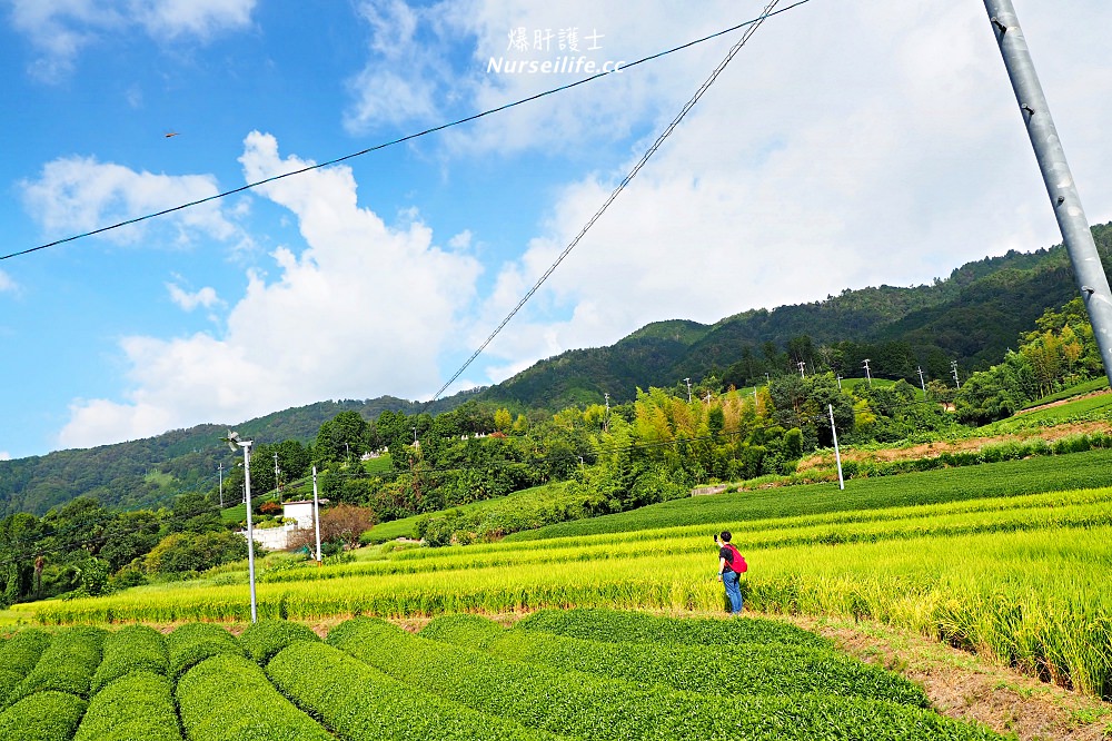 京都深度之旅–茶之京都：到日本茶的故鄉來段身心療癒之旅 - nurseilife.cc