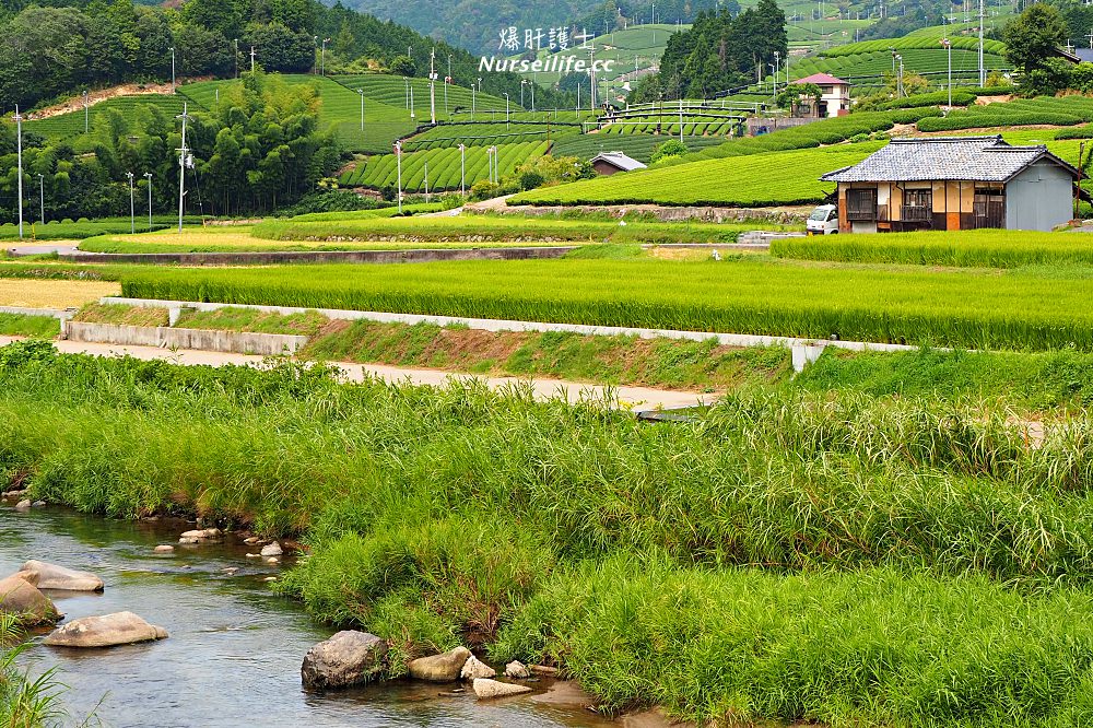 京都深度之旅–茶之京都：到日本茶的故鄉來段身心療癒之旅 - nurseilife.cc