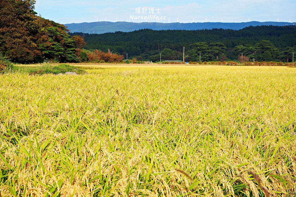 秋田｜象潟九十九島．稻田版的松島絕景 - nurseilife.cc