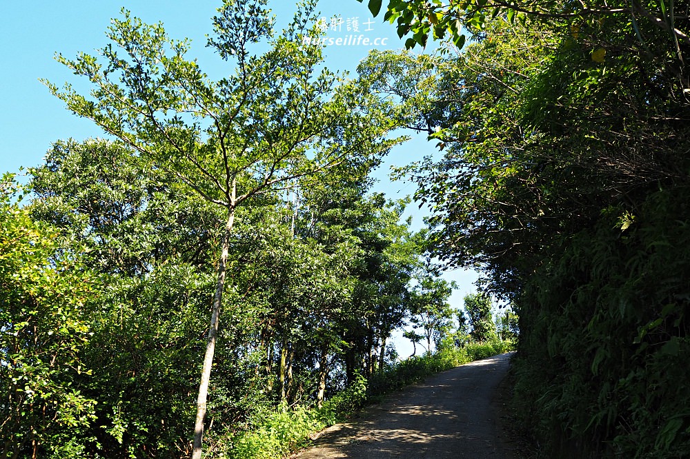 新北石碇千島湖鱷魚島．新北版宇治山水秘境交通指南 - nurseilife.cc