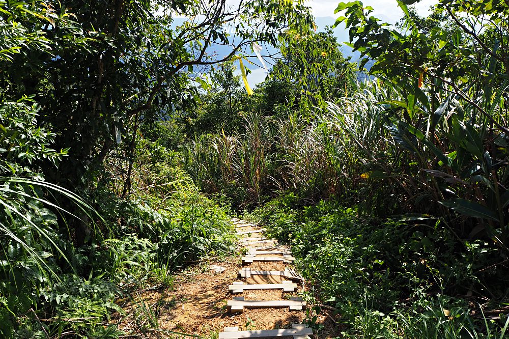 新北石碇千島湖鱷魚島．新北版宇治山水秘境交通指南 - nurseilife.cc