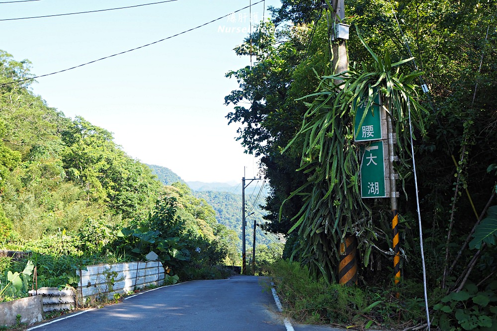 新北石碇千島湖鱷魚島．新北版宇治山水秘境交通指南 - nurseilife.cc