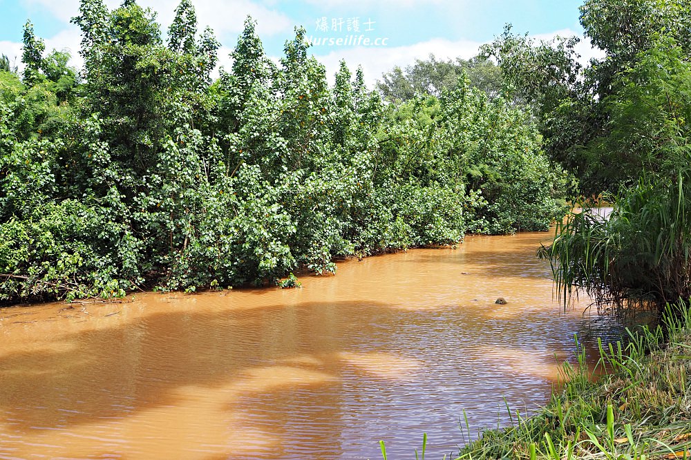 夏威夷檀香山必買的北岸椰子花生醬 North Shore Goodies Coconut Peanut Butter - nurseilife.cc