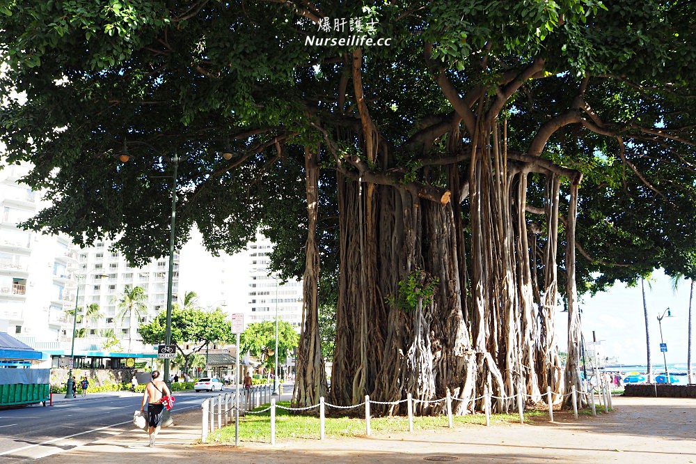 夏威夷檀香山威基基海灘 Waikiki Beach．躺下就贏了！ - nurseilife.cc