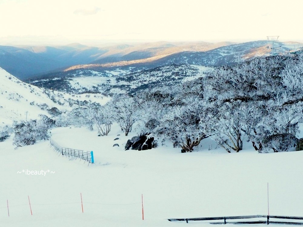 澳洲｜南半球最大滑雪勝地! Perisher Ski Resort 藍派瑞雪滑雪場 - nurseilife.cc