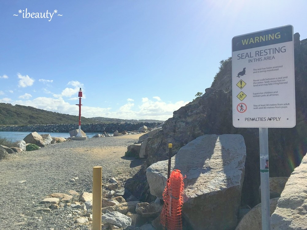 澳洲｜Narooma： 一個被命名為清澈湛藍海水的南方小鎮 - nurseilife.cc