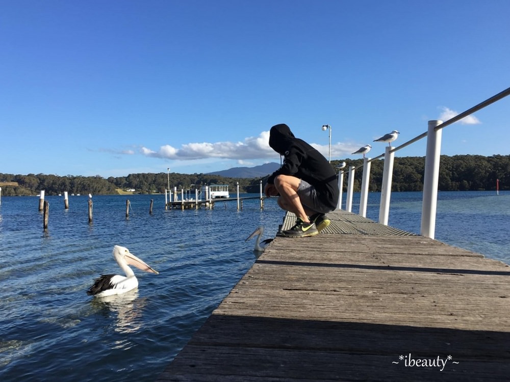 澳洲｜海姆斯沙灘Hyams Beach．最美麗也最危險的白沙灘 - nurseilife.cc