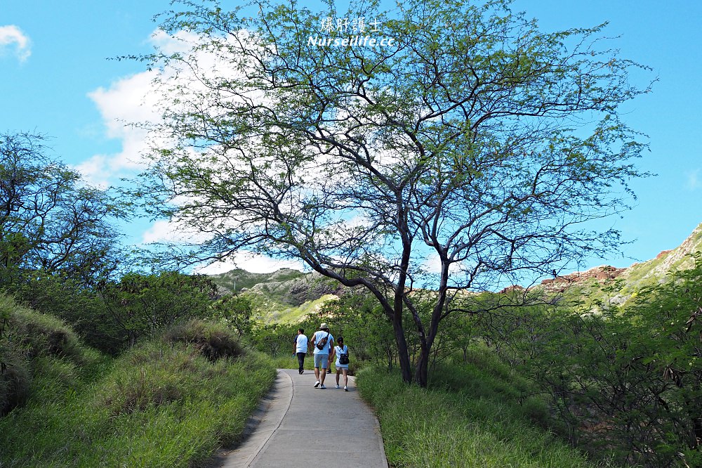 夏威夷｜Diamond Head ．登上鑽石頭山一覽檀香山風情 - nurseilife.cc