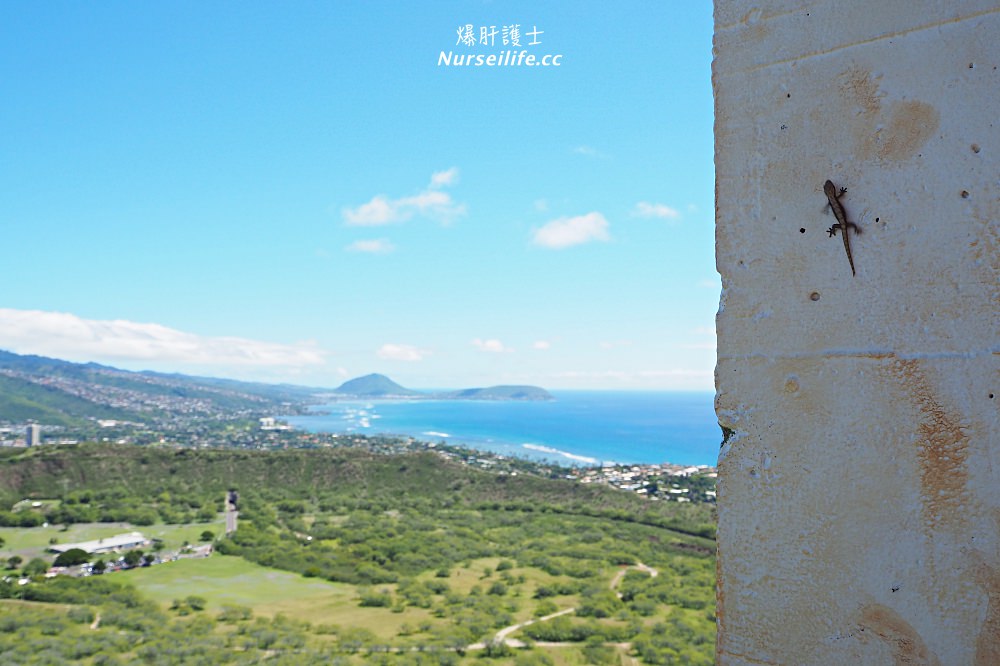 夏威夷｜Diamond Head ．登上鑽石頭山一覽檀香山風情 - nurseilife.cc