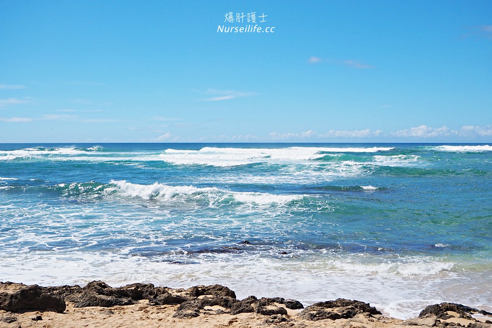 夏威夷｜Laniakea Beach 海龜海灘 - nurseilife.cc