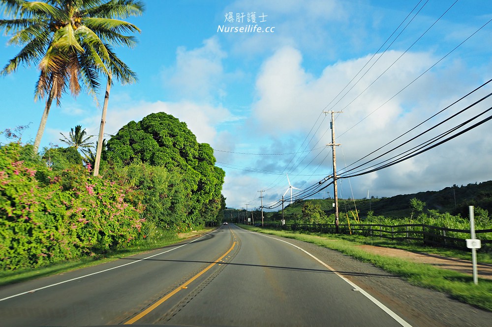 夏威夷｜Laniakea Beach 海龜海灘 - nurseilife.cc