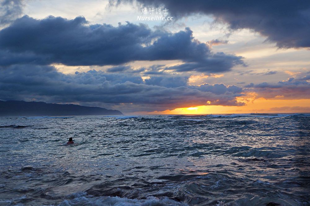 夏威夷｜Laniakea Beach 海龜海灘 - nurseilife.cc