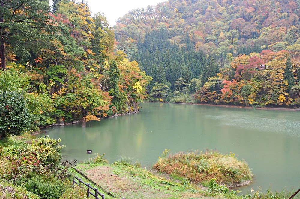 鐵道控必來！福島只見線交通、沿線景點、美食、住宿 - nurseilife.cc