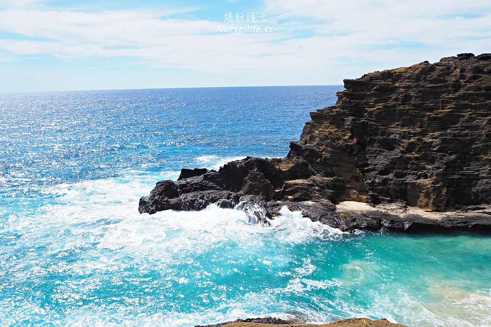 夏威夷｜歐胡島潮吹洞．Halona Blowhole Lookout - nurseilife.cc