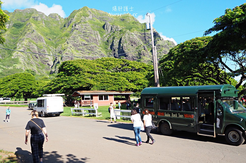 夏威夷｜追星、被恐龍追都不能錯過的古蘭尼牧場一日遊（Kualoa Ranch） - nurseilife.cc