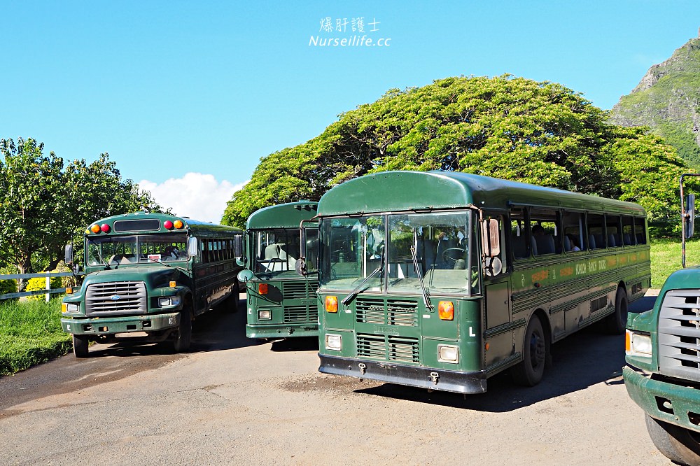 夏威夷｜追星、被恐龍追都不能錯過的古蘭尼牧場一日遊（Kualoa Ranch） - nurseilife.cc