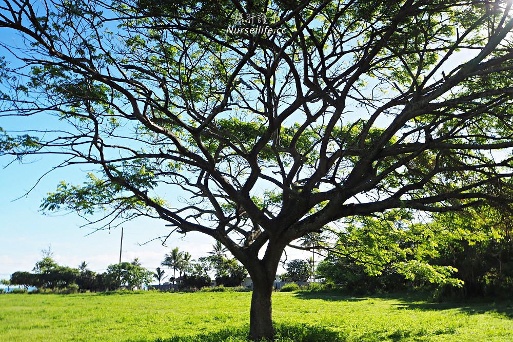 夏威夷｜追星、被恐龍追都不能錯過的古蘭尼牧場一日遊（Kualoa Ranch） - nurseilife.cc