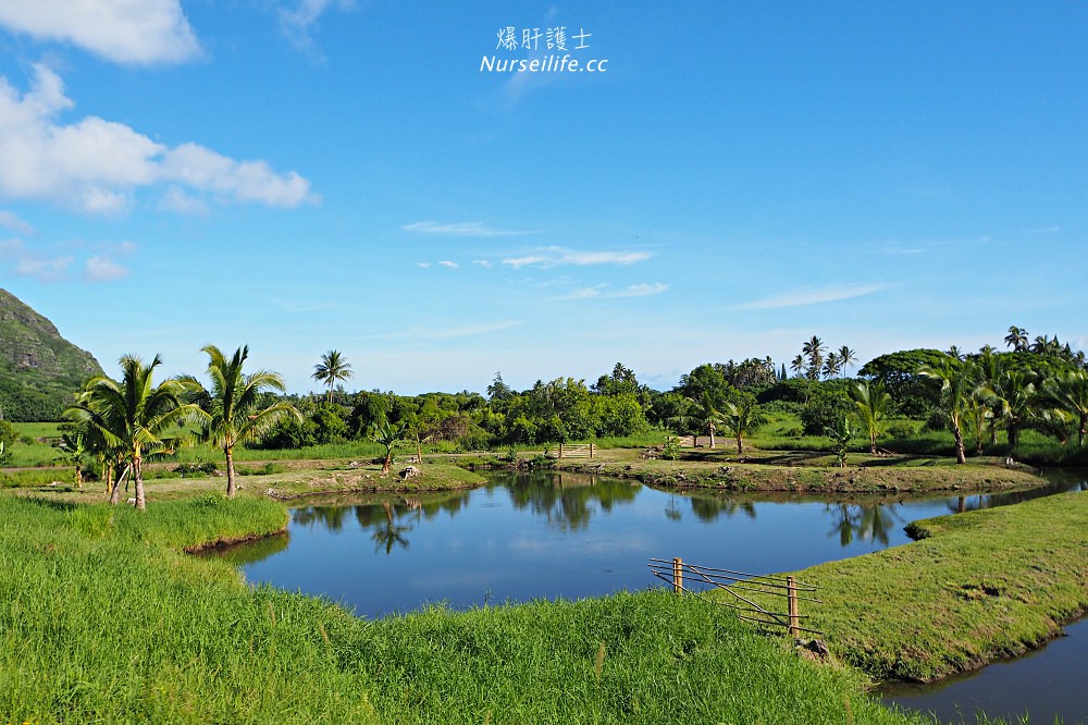 夏威夷｜追星、被恐龍追都不能錯過的古蘭尼牧場一日遊（Kualoa Ranch） - nurseilife.cc