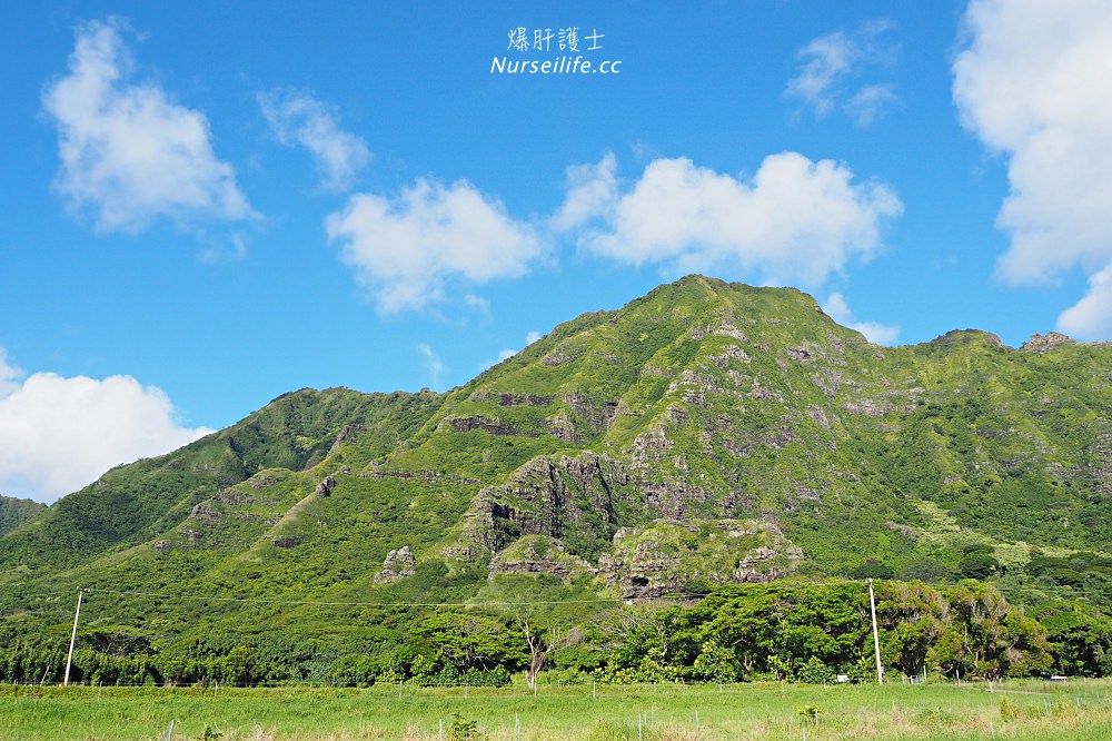 夏威夷｜追星、被恐龍追都不能錯過的古蘭尼牧場一日遊（Kualoa Ranch） - nurseilife.cc