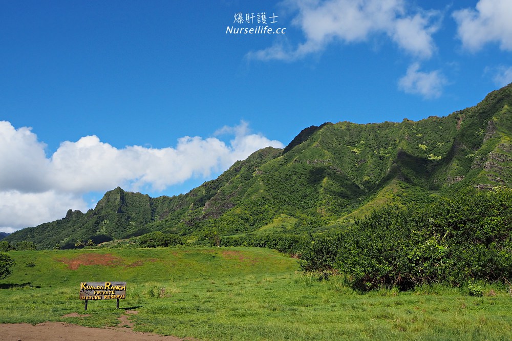 夏威夷｜追星、被恐龍追都不能錯過的古蘭尼牧場一日遊（Kualoa Ranch） - nurseilife.cc