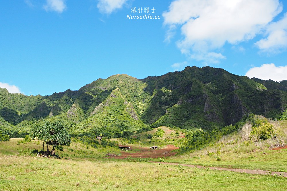 夏威夷｜追星、被恐龍追都不能錯過的古蘭尼牧場一日遊（Kualoa Ranch） - nurseilife.cc